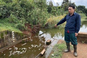 Báo động đỏ về quản trị môi trường tại Cụm công nghiệp Tân An: Truy tìm nguyên nhân cá chết hàng loạt tại hồ Ea Trum