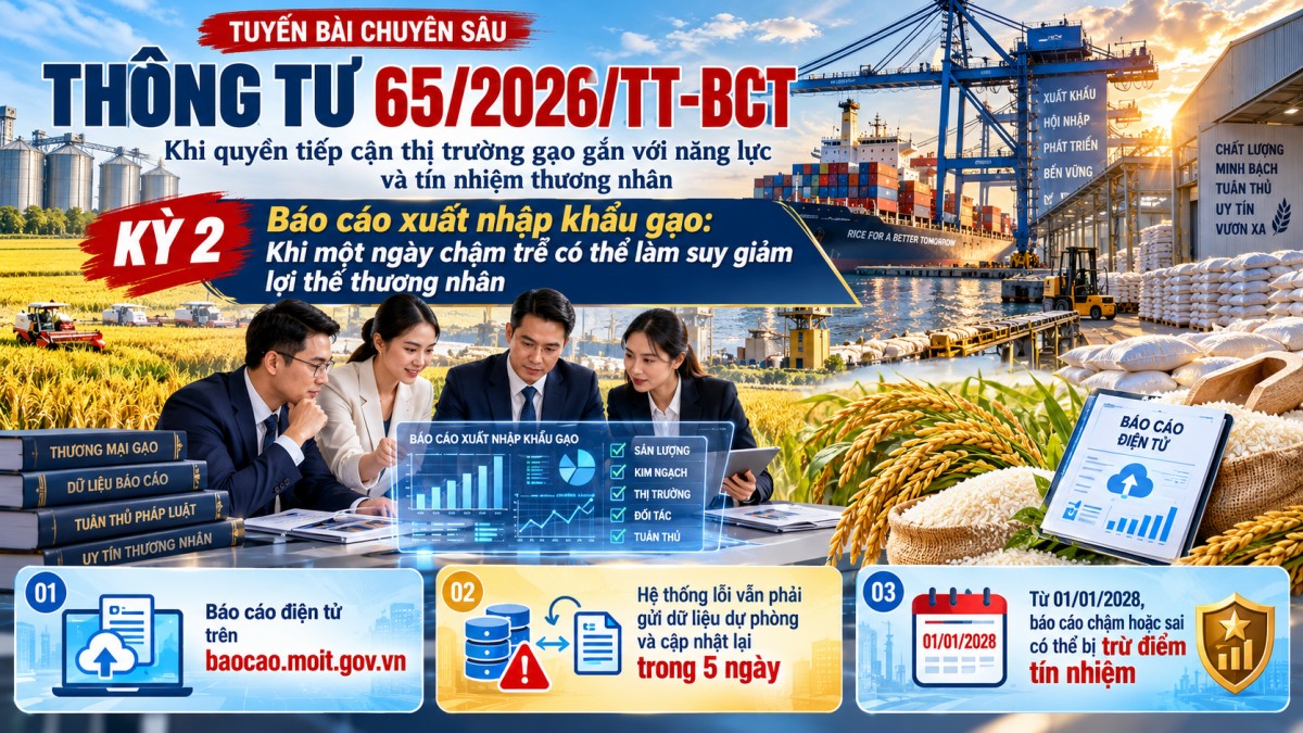 Thông tư 65/2026/TT-BCT, báo cáo xuất nhập khẩu gạo: Khi một ngày chậm trễ có thể làm suy giảm lợi thế thương nhân