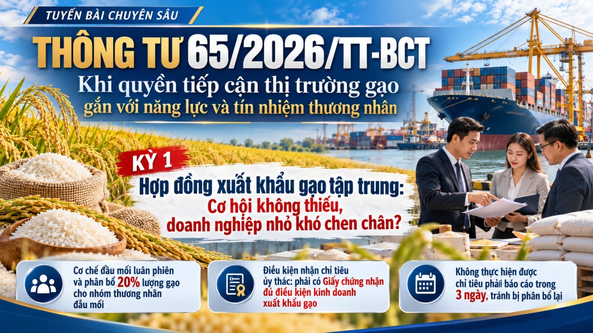 Thông tư 65/2026/TT-BCT, hợp đồng xuất khẩu gạo tập trung: Cơ hội không thiếu, doanh nghiệp nhỏ khó chen chân?