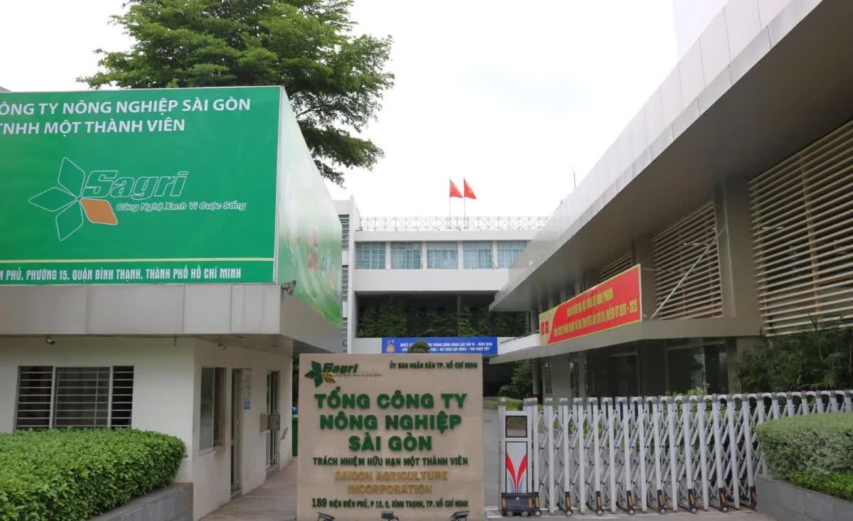 TP. Hồ Chí Minh sắp xếp lại vốn Nhà nước tại 71 doanh nghiệp, hướng tới năm 2030