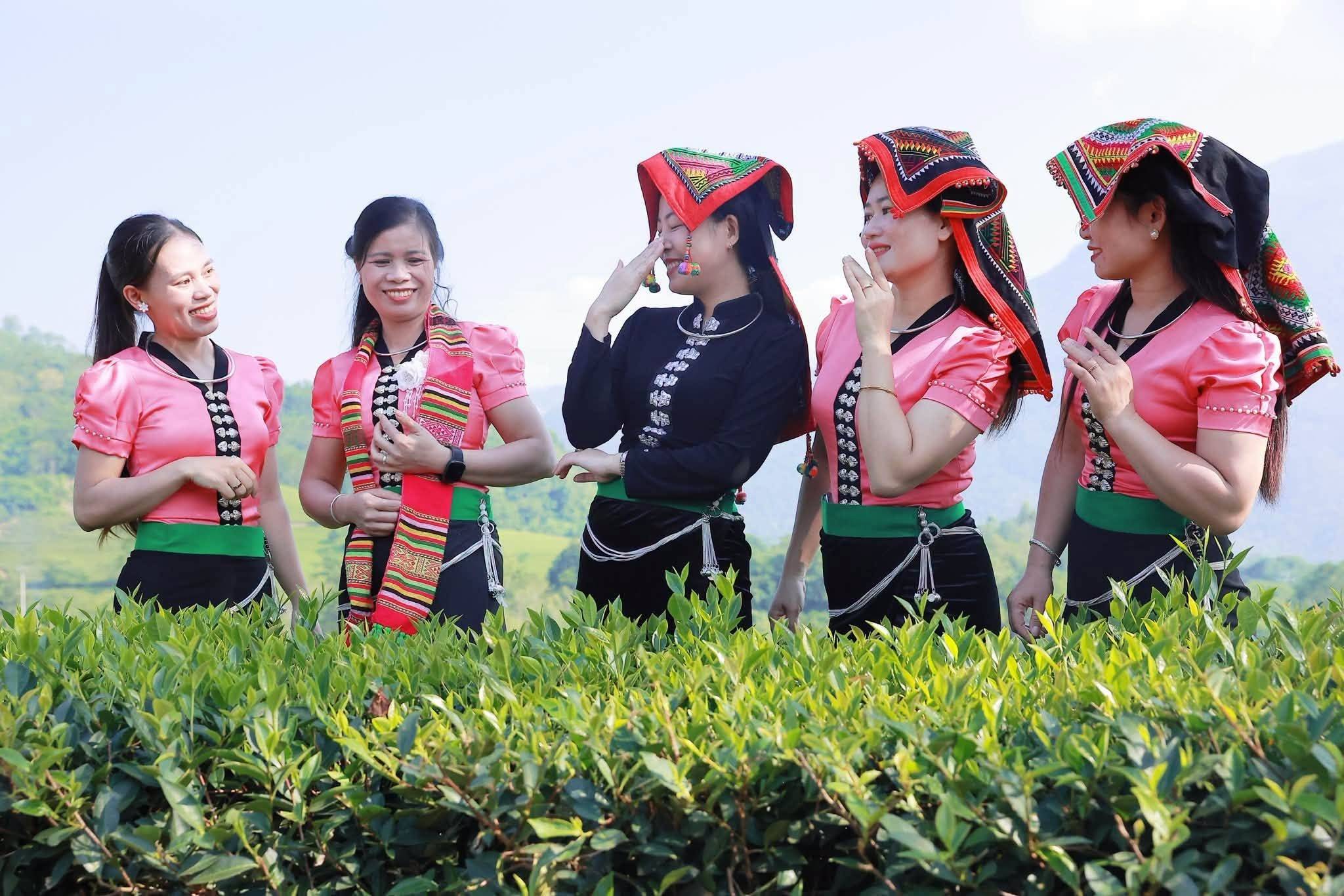 Đồi chè Liên Sơn – điểm hẹn xanh giữa miền sơn cước Lào Cai