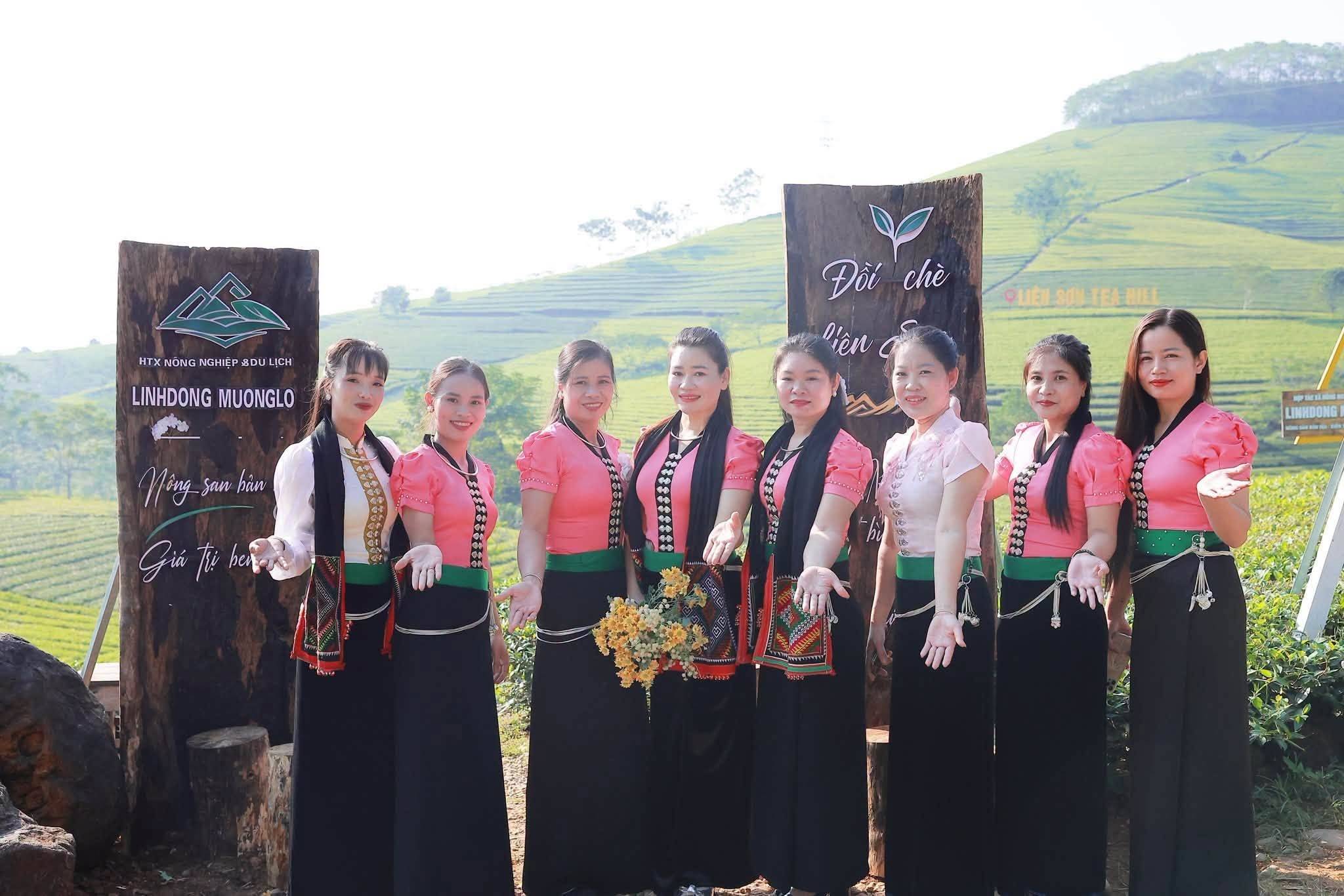 Đồi chè Liên Sơn – điểm hẹn xanh giữa miền sơn cước Lào Cai