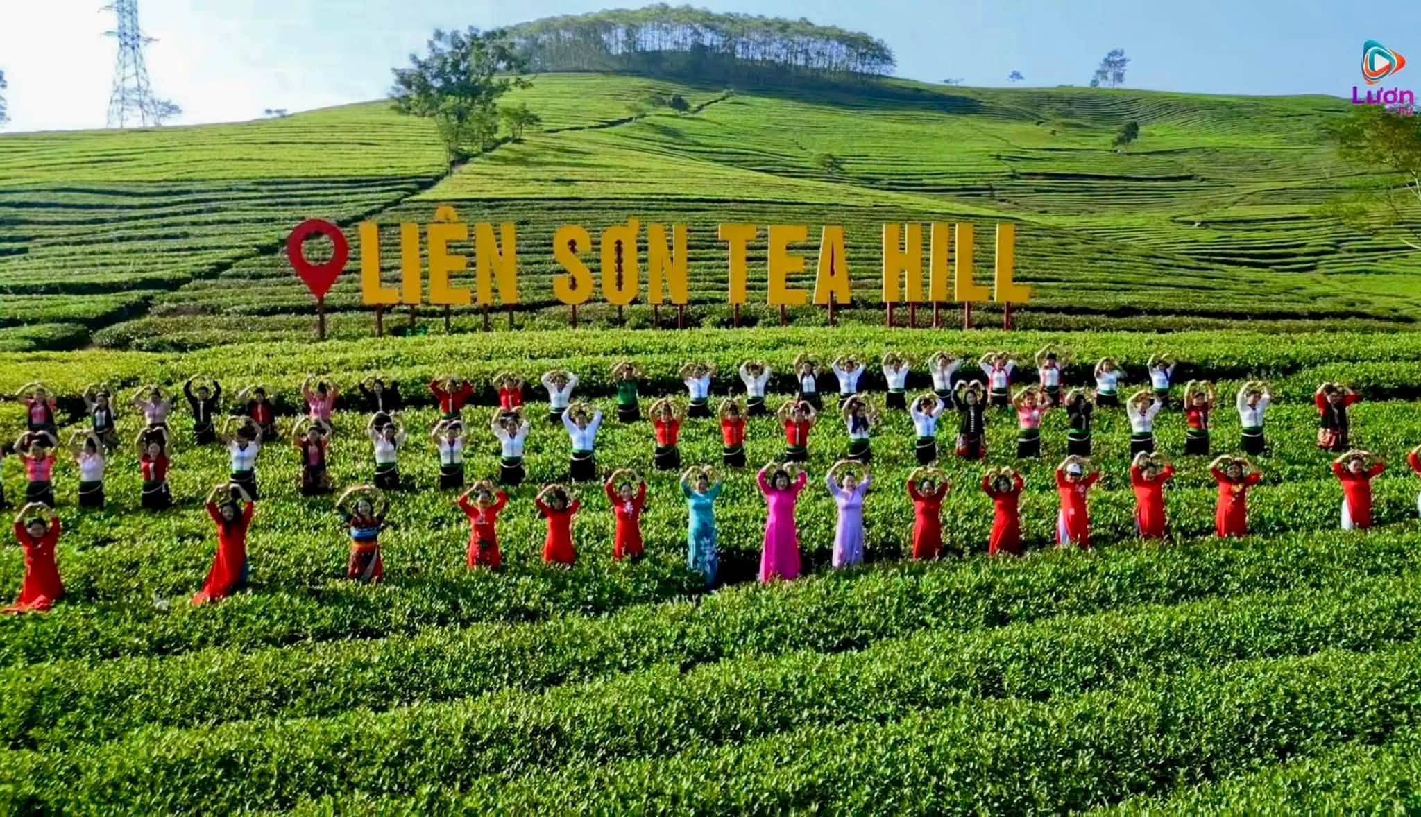 Đồi chè Liên Sơn – điểm hẹn xanh giữa miền sơn cước Lào Cai