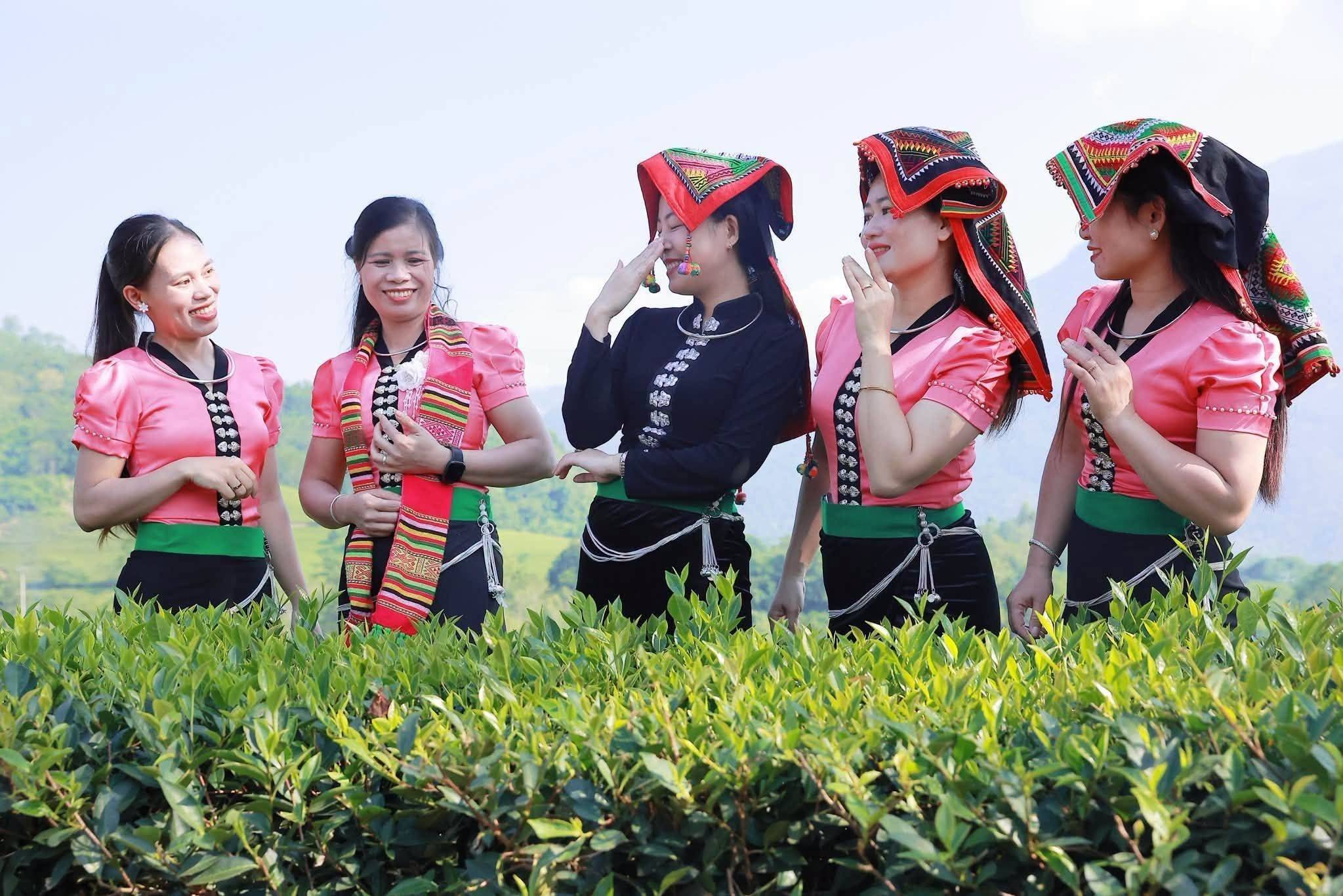Đồi chè Liên Sơn – điểm hẹn xanh giữa miền sơn cước Lào Cai