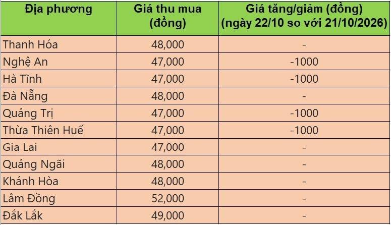 Bảng giá heo hơi tại miền Trung - Tây Nguyên hôm nay 22/10/2026