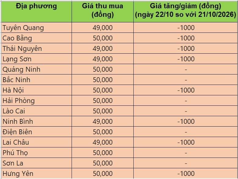 Bảng giá heo hơi tại miền Bắc hôm nay 22/10/2026