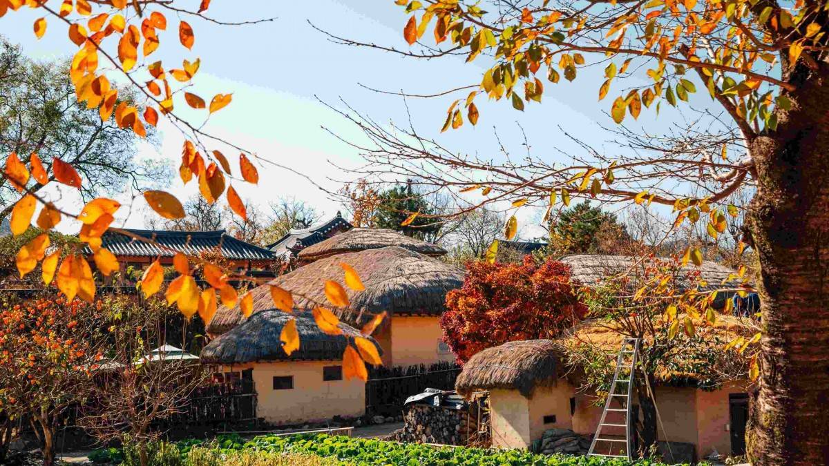 Di sản UNESCO: 5 điểm đến du lịch văn hóa giàu bản sắc