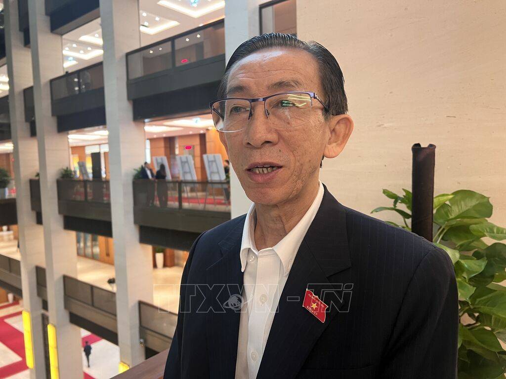 Đại biểu Quốc hội Trần Hoàng Ngân 