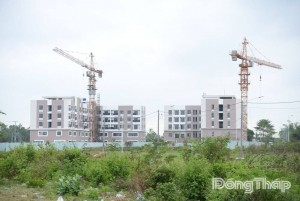 Tỉnh Đồng Tháp sẽ yêu cầu cập nhật dữ liệu bất động sản trong 3 ngày