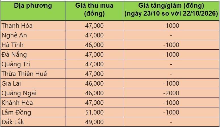 giá heo hơi