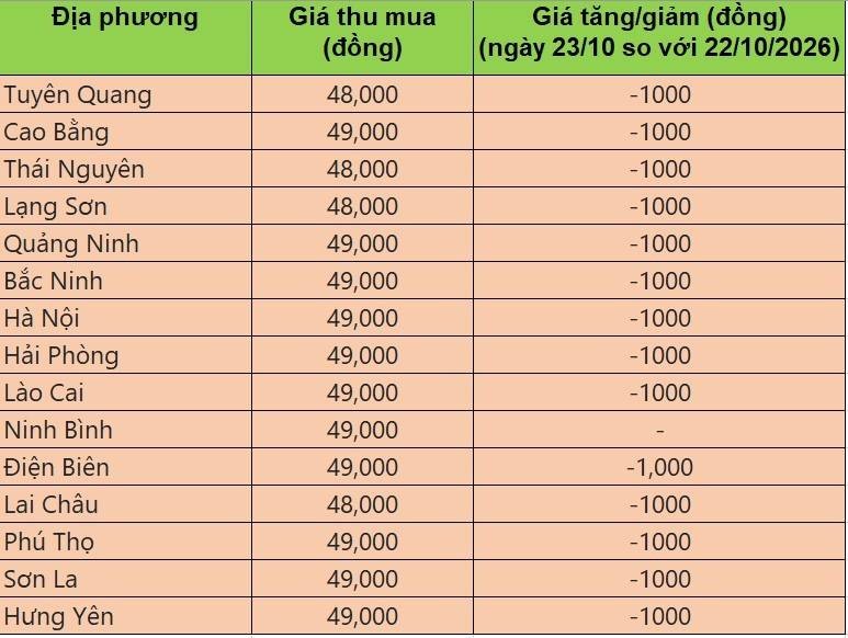 giá heo hơi