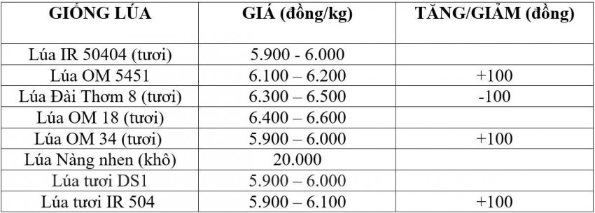 giá lúa gạo