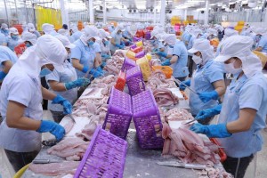 58 thông báo SPS mới: Doanh nghiệp xuất khẩu nông sản cần lưu ý gì?