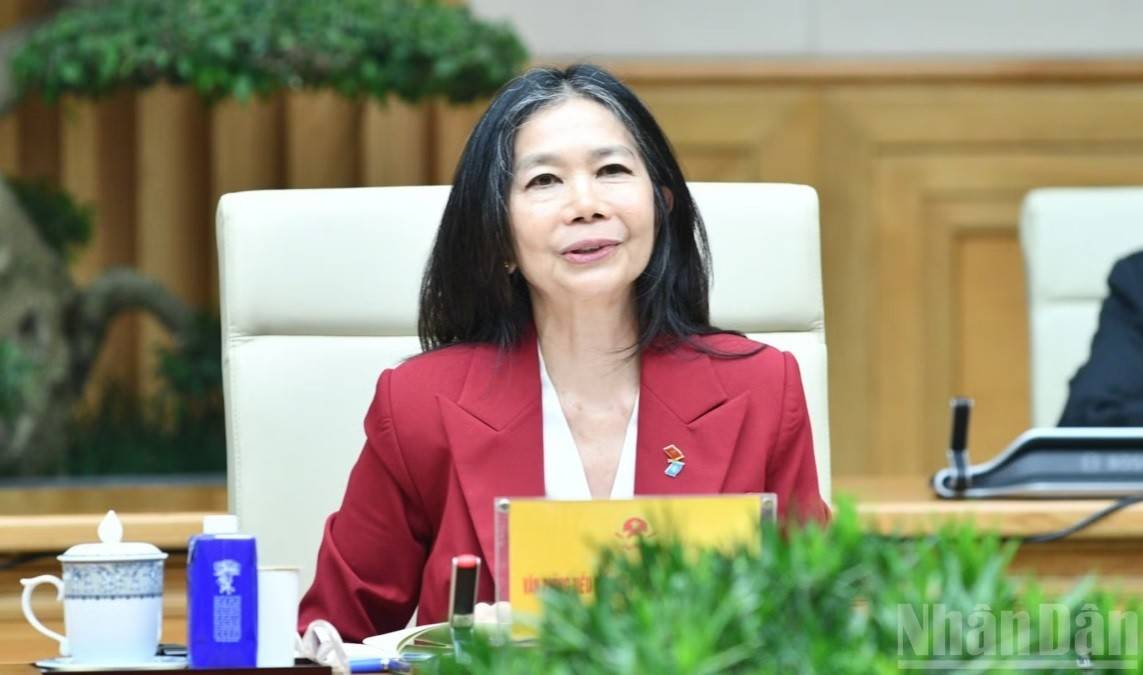 Bà Pauline Tamesis, Điều phối viên Thường trú Liên hợp quốc tại Việt Nam, phát biểu ý kiến tại buổi tiếp