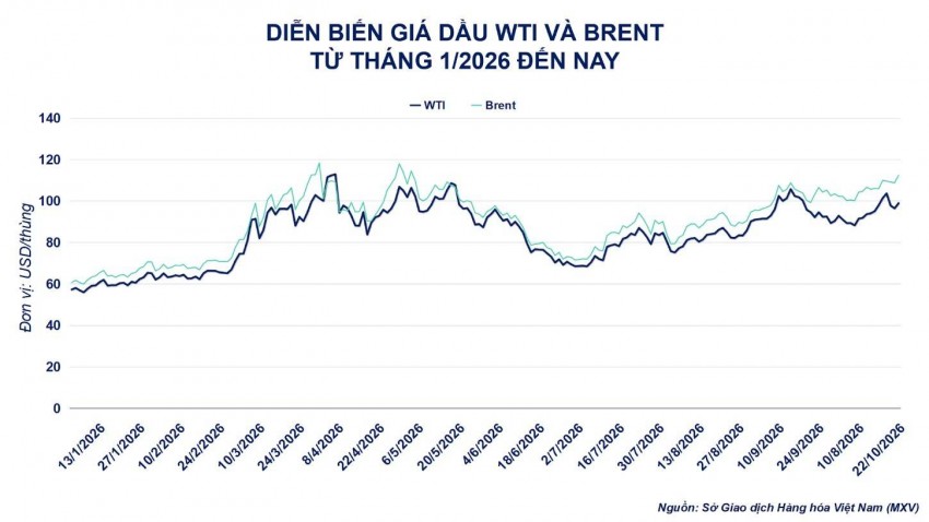Dầu thô bứt phá: Rủi ro eo biển Hormuz đẩy giá tăng mạnh