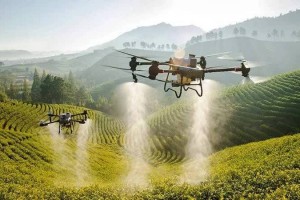 Siết quản lý thiết bị bay không người lái, bảo đảm an toàn hàng không
