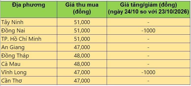 Bảng giá heo hơi tại miền Nam hôm nay 24/10/2026