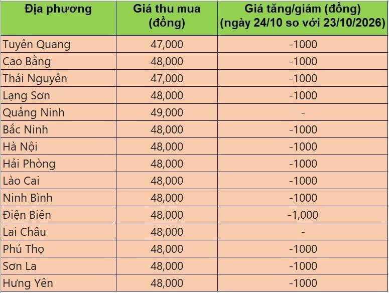 Bảng giá heo hơi tại miền Bắc hôm nay 24/10/2026