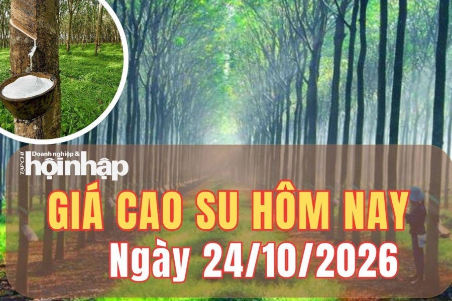 Giá cao su hôm nay 24/10/2026: Giá cao su RSS3 tăng giảm trái chiều tại các kỳ hạn