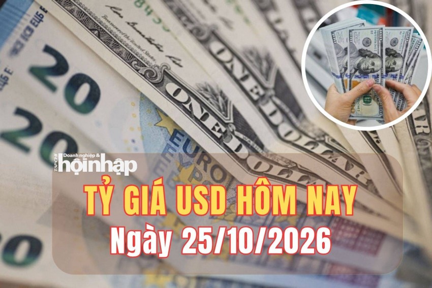 Tỷ giá USD hôm nay 25/10/2026: Đồng USD giảm nhẹ trong tuần qua