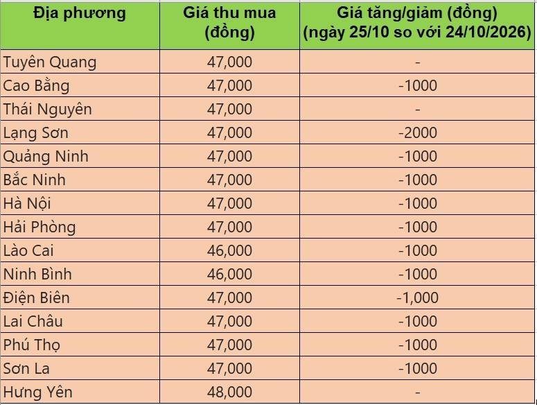 Bảng giá heo hơi tại miền Bắc hôm nay 25/10/2026