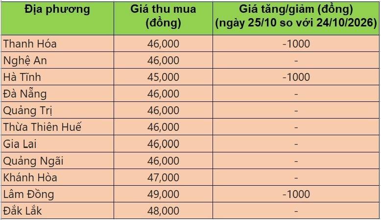 Bảng giá heo hơi tại miền Trung - Tây Nguyên hôm nay 25/10/2026