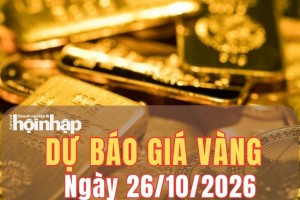 Dự báo giá vàng ngày mai 26/10/2026: Áp lực giảm vẫn bủa vây