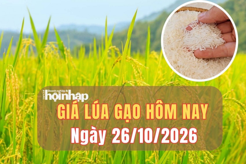 giá lúa gạo