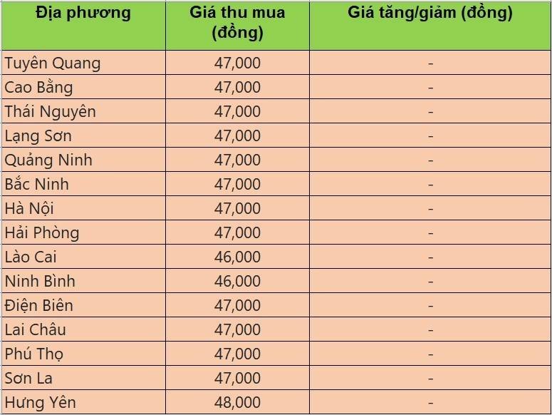 giá heo hơi