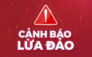 Bẫy “gói AI livestream”: Lừa đảo hiển thị doanh thu hoặc lợi nhuận tăng lên từng ngày