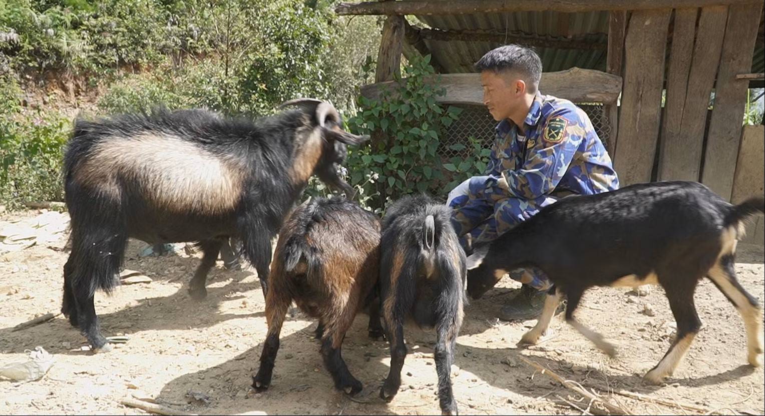 Cựu chiến binh Thào A Rùa: Nêu gương để dân tin, vận động để dân làm theo