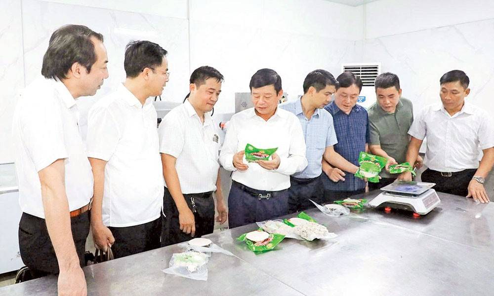 Kinh tế tập thể Bắc Ninh: Chuyển từ mở rộng quy mô sang nâng cao hiệu quả