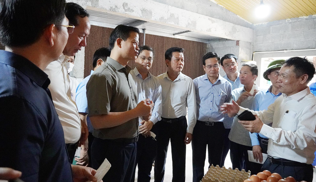 Quảng Trị: Tăng cường quản lý nghề cá, thúc đẩy phát triển nông nghiệp hiện đại