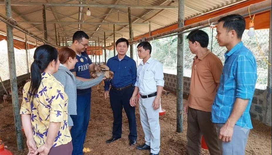 Chăn nuôi Lào Cai: Gắn phòng dịch với liên kết hộ dân, HTX và doanh nghiệp