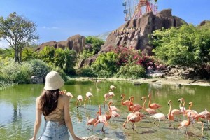 Ba khu nghỉ dưỡng đầu tiên đạt tiêu chuẩn Du lịch xanh tại Khánh Hòa