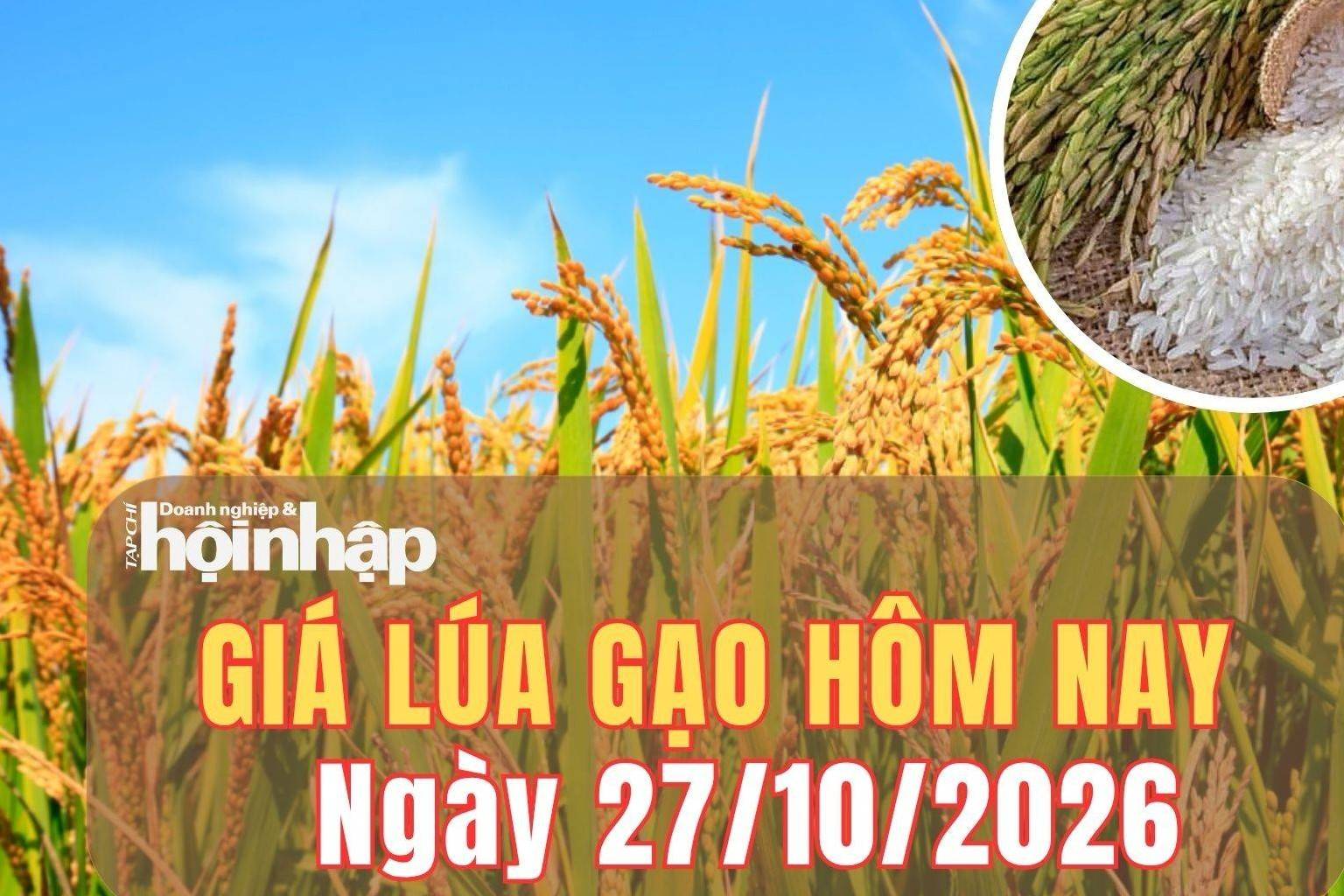 Giá lúa gạo hôm nay 27/10/2026: Giá gạo nguyên liệu và phụ phẩm bật tăng