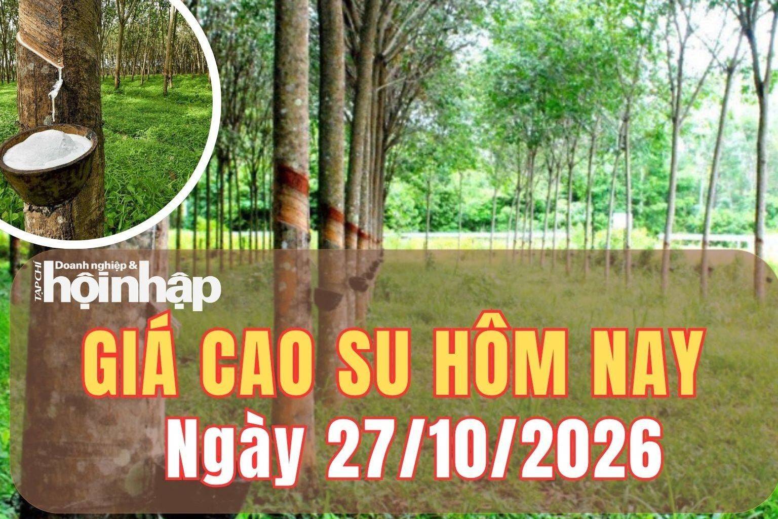 Giá cao su hôm nay 27/10/2026: Giá cao su RSS3 trái chiều, sàn SHFE đồng loạt giảm