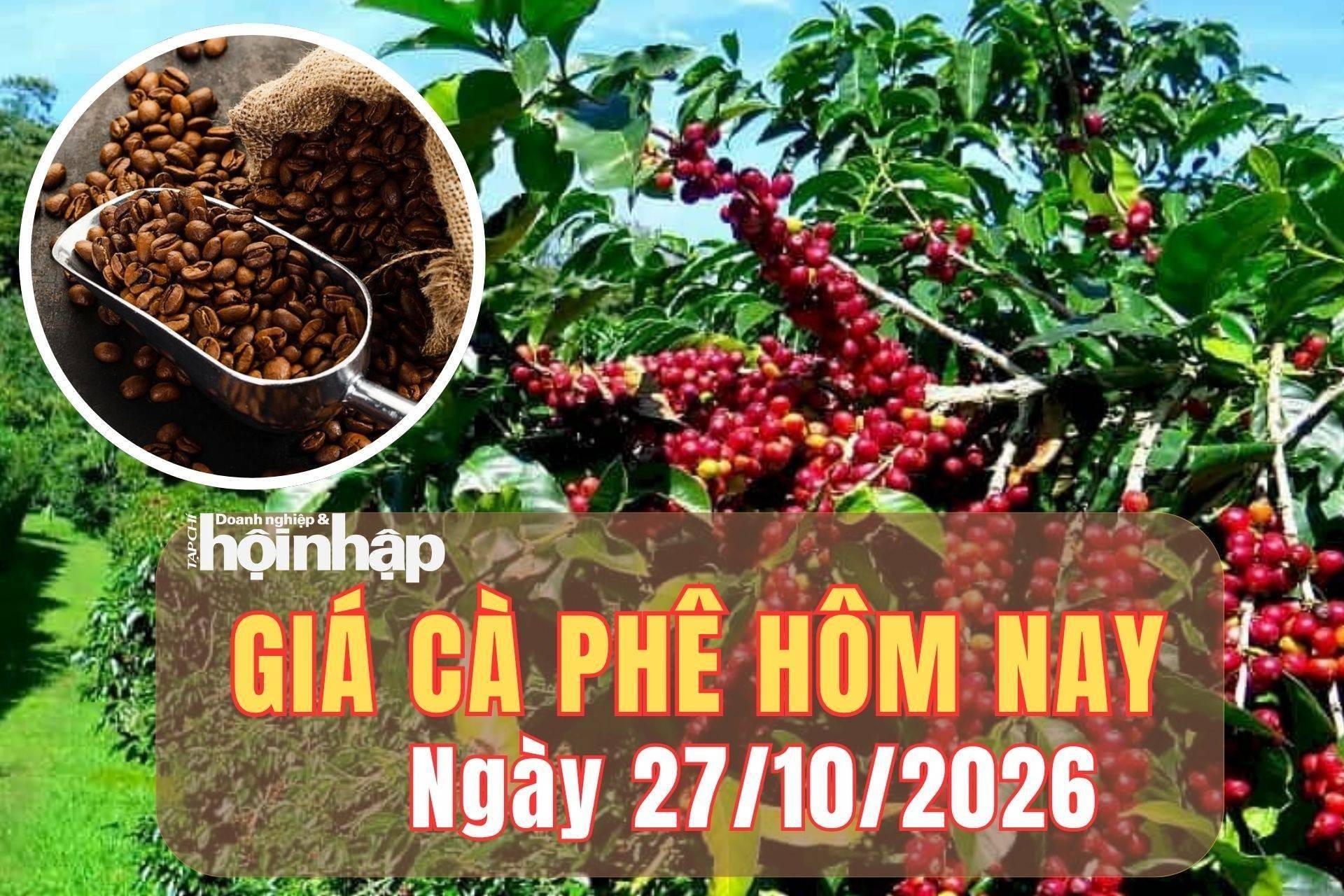 Giá cà phê hôm nay 27/10/2026: Robusta, arabica tiếp đà giảm, cà phê trong nước đi ngang
