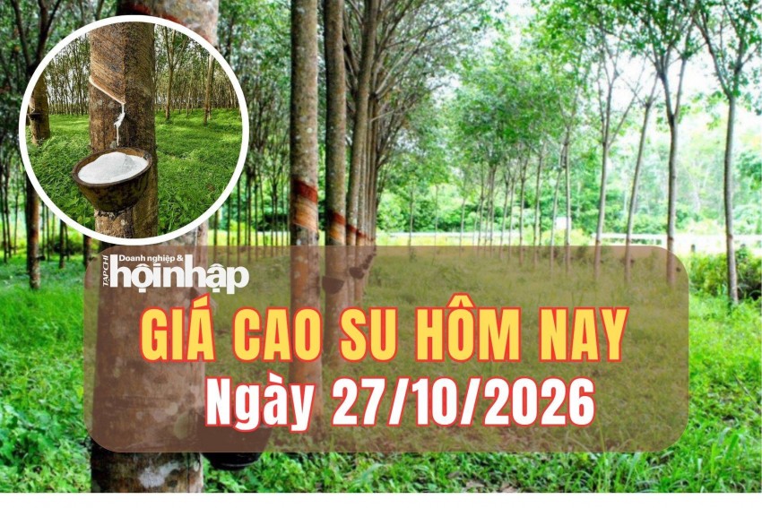 Giá cao su hôm nay 27/10/2026: Giá cao su RSS3 trái chiều, sàn SHFE đồng loạt giảm 