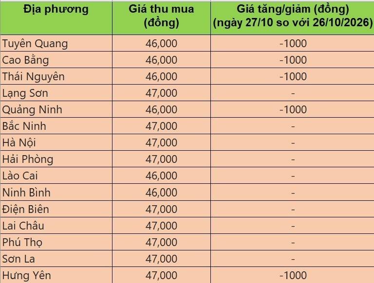 Bảng giá heo hơi tại miền Bắc hôm nay 27/10/2026