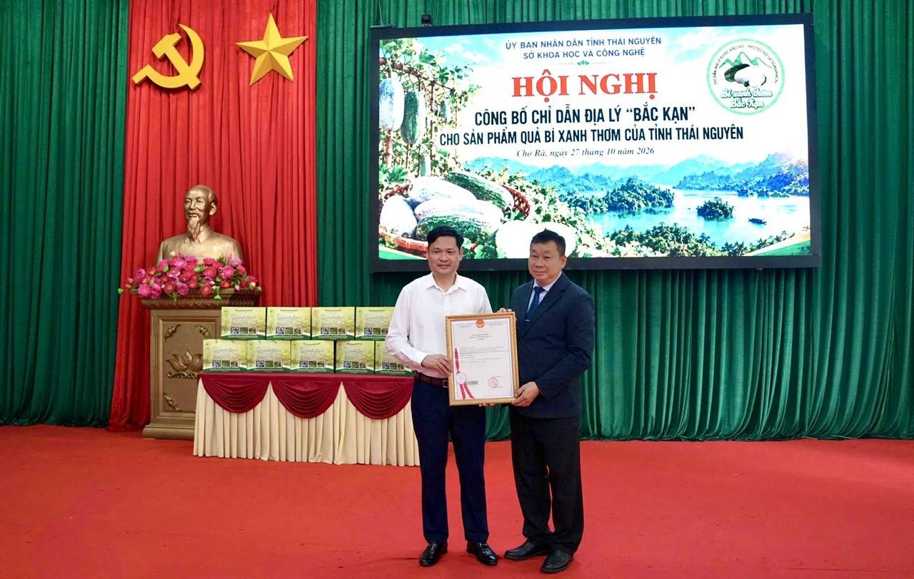 Bí xanh thơm Bắc Kạn: Từ bảo hộ chỉ dẫn địa lý đến bài toán nâng cao giá trị nông sản Thái Nguyên
