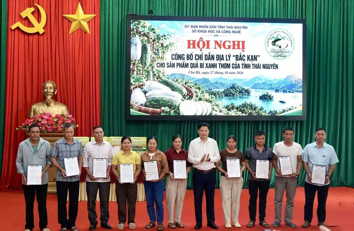 Bí xanh thơm Bắc Kạn: Từ bảo hộ chỉ dẫn địa lý đến bài toán nâng cao giá trị nông sản Thái Nguyên