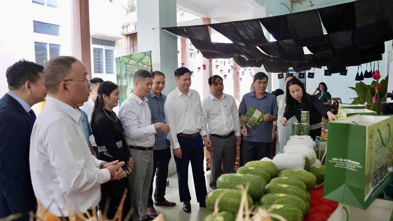 Bí xanh thơm Bắc Kạn: Từ bảo hộ chỉ dẫn địa lý đến bài toán nâng cao giá trị nông sản Thái Nguyên