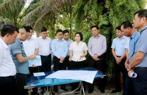 Phú Thọ dự kiến đầu tư 100 tỷ đồng nâng cấp hạ tầng hai cụm công nghiệp