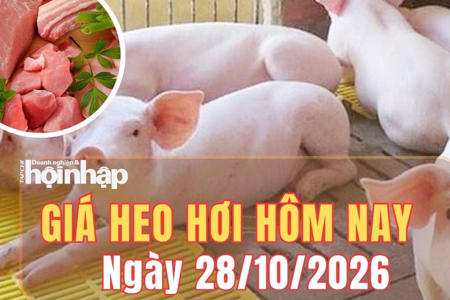Giá heo hơi hôm nay 28/10/2026: Giá heo hơi cả nước giảm sâu, nhiều nơi chạm đáy 44.000 đồng/kg