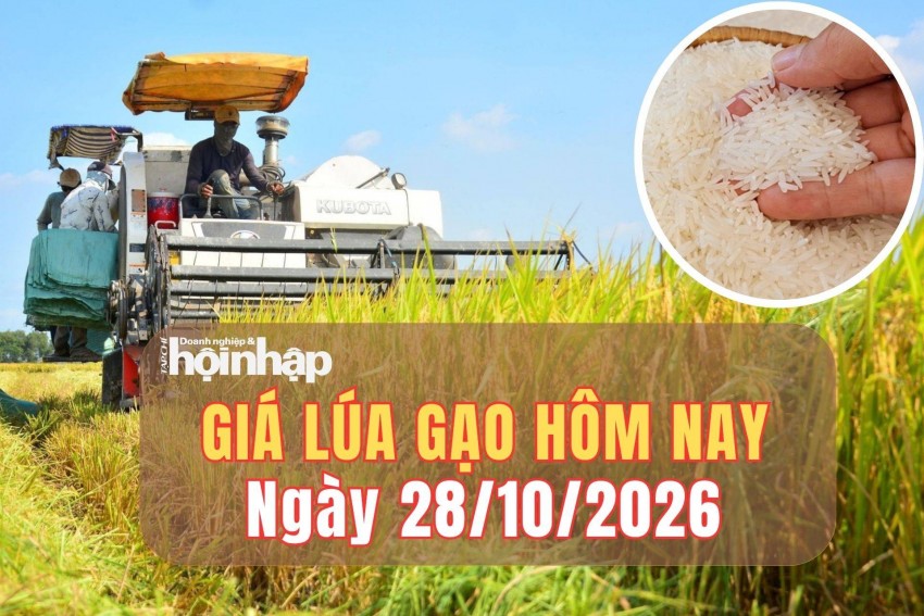 giá lúa gạo
