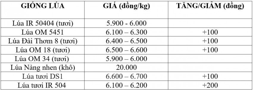 giá lúa gạo