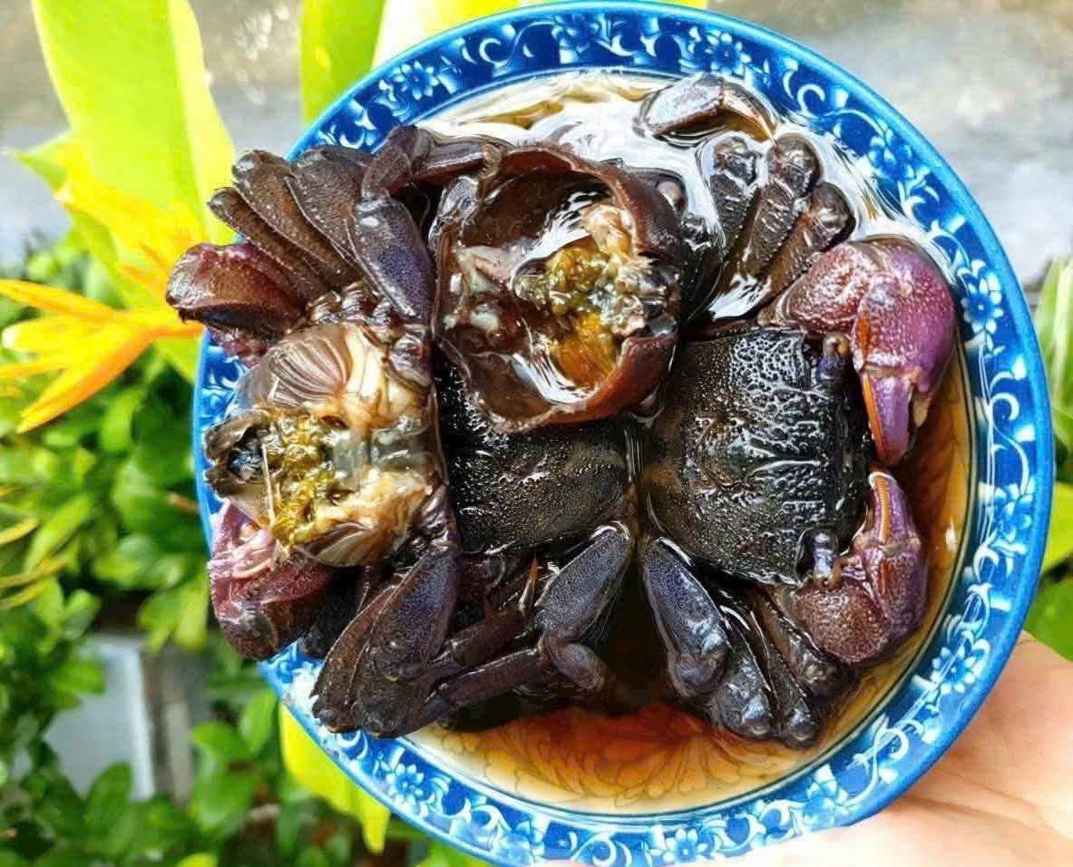 Bắt ba khía ở rừng ngập mặn vẹn biển Cà Mau