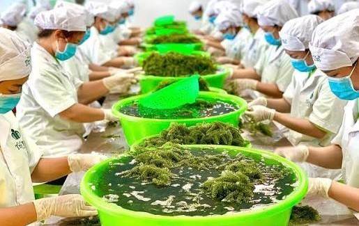 Mỗi xã một sản phẩm, giải pháp nâng cao năng lực cạnh tranh, phát triển thị trường cho sản phẩm OCOP thanh niên