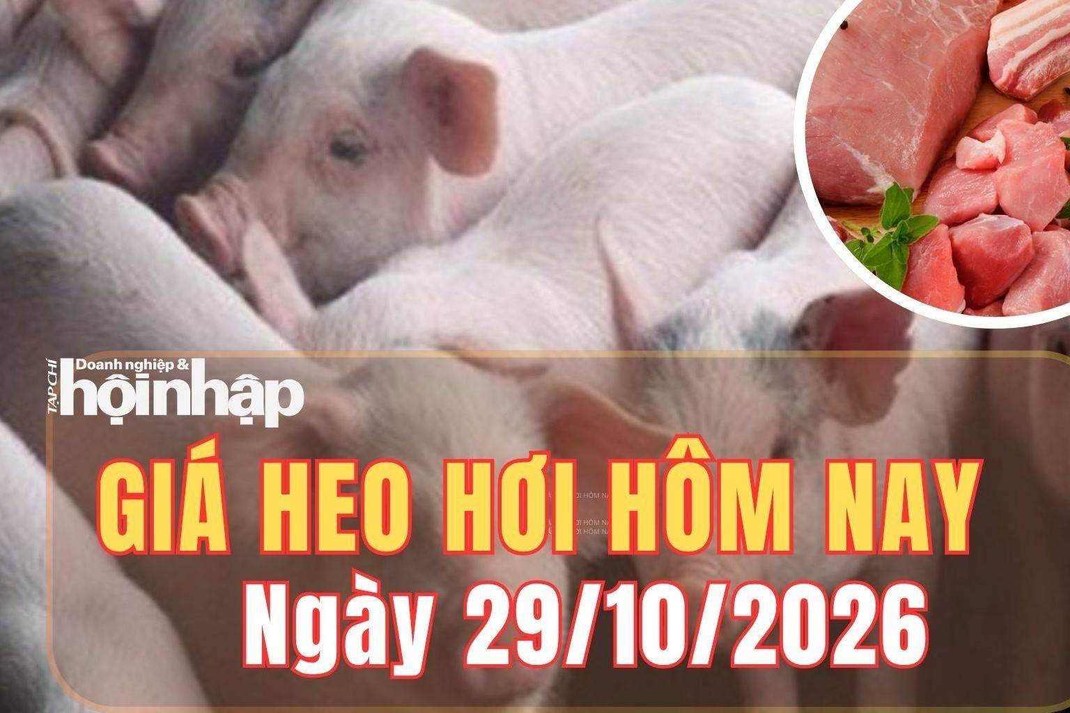 Giá heo hơi hôm nay 29/10/2026: Giá heo hơi tiếp tục giảm